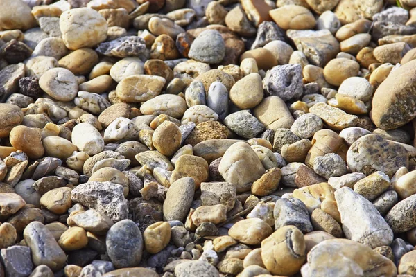 Sea Pebble Sea Stones Background Texture Pebble — Stock Photo, Image