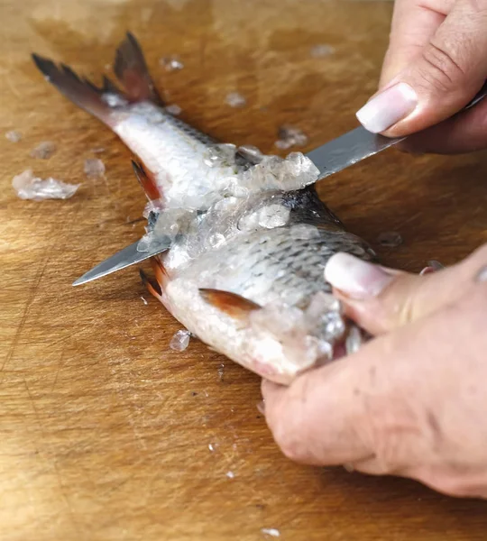 cleaning fresh fish on the scales, the preparation of fish dishes
