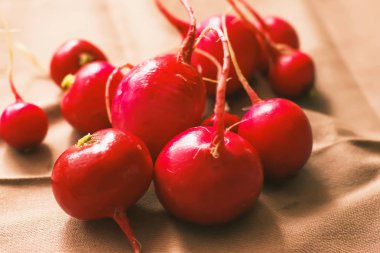masada, sağlıklı sebze olgun turp