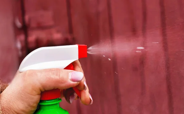 Spraying the plants in the garden, with hand spray, — Stock Photo, Image