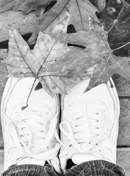 Ноги в кроссовках на фоне осени — стоковое фото