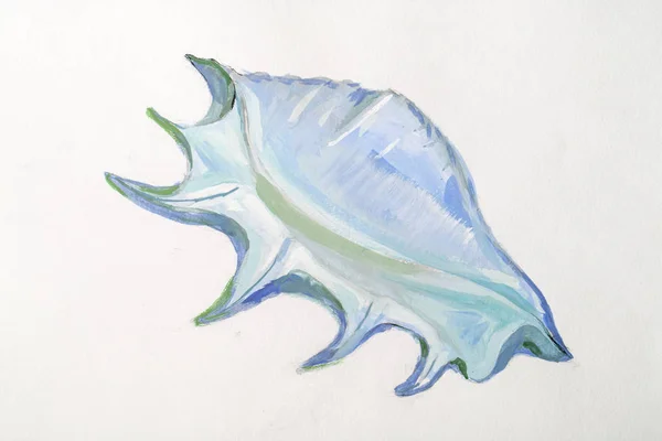 Textura pintura ainda vida pintura mar shell , — Fotografia de Stock