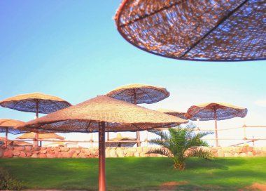 egzotik plaj şemsiyeleri, okyanus plaj tatil, 