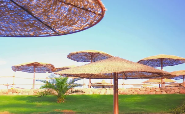 egzotik plaj şemsiyeleri, okyanus plaj tatil, 