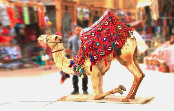 Καμήλα για περιπάτους, ιππασία τουρίστες — Φωτογραφία Αρχείου