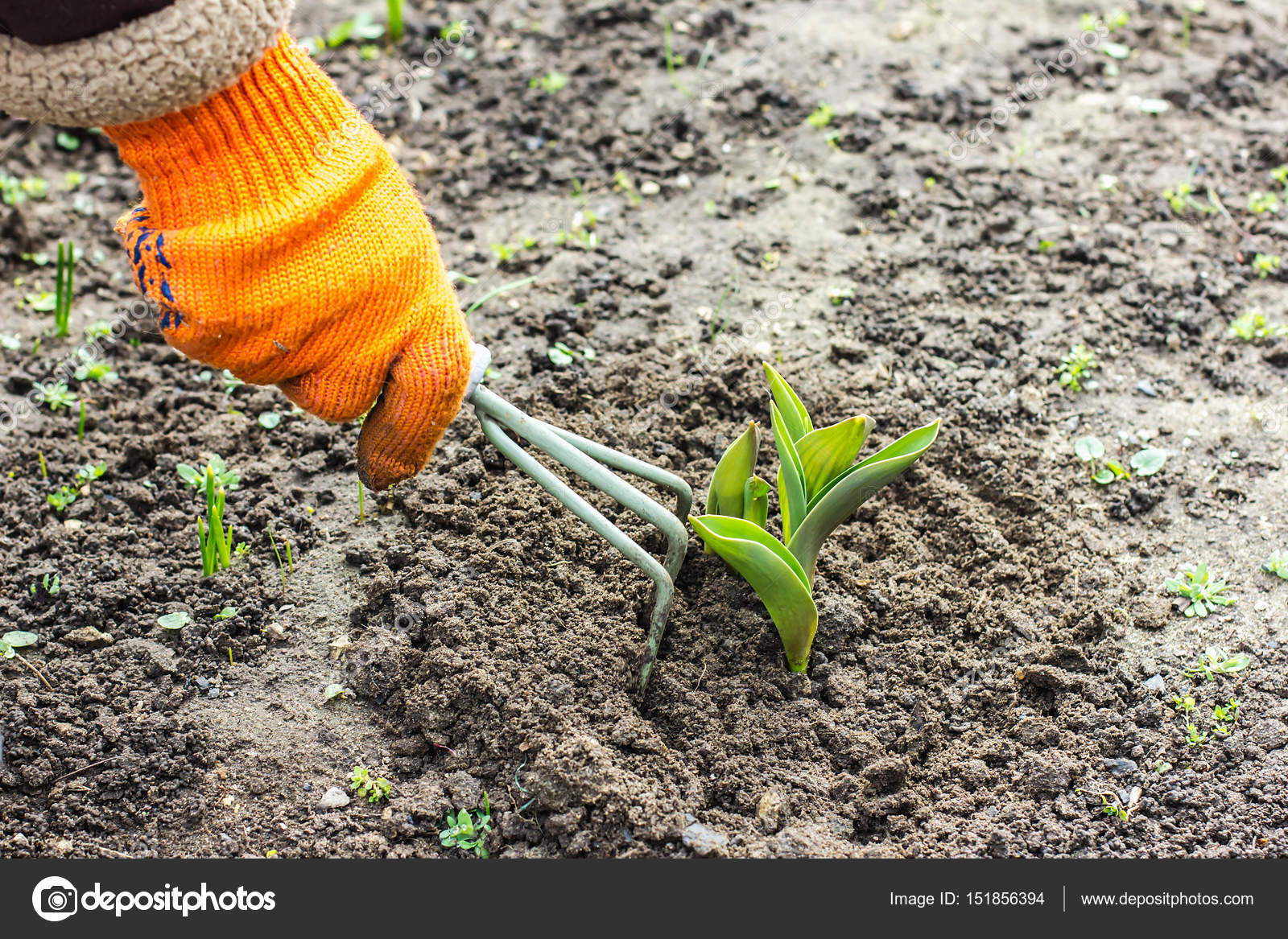 garten hacken