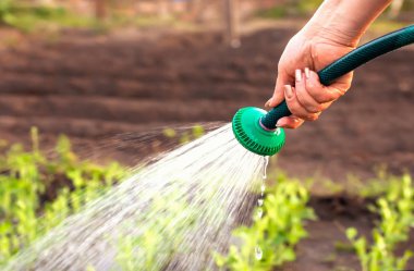 kadının ellerini sıcak s Bahçe Bitkileri sulama görünümünü