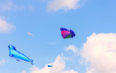 Parlak uçurtma Uçurtma Festivali, mavi gökyüzünde yüzen hava