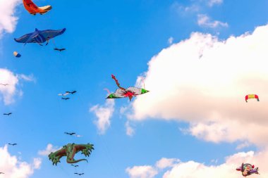 Renkli uçurtma güzel yaz d açık havada uçmak ücretsiz