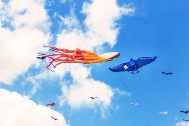 Renkli uçurtma güzel yaz d açık havada uçmak ücretsiz