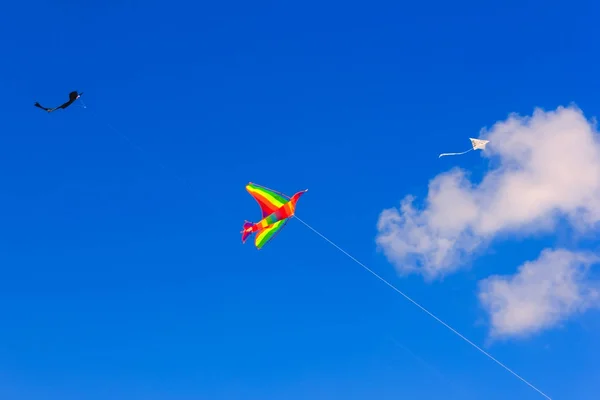 Colorful kite free to fly in the clear sky, a beautiful summer d — Stock Photo, Image