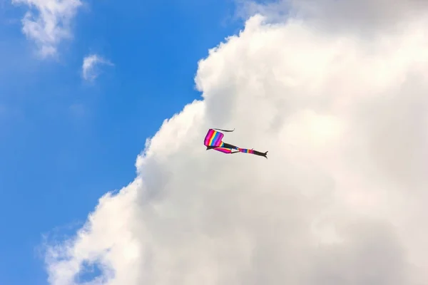 Pipas brilhantes flutuando no céu azul, festival de pipa, ar — Fotografia de Stock