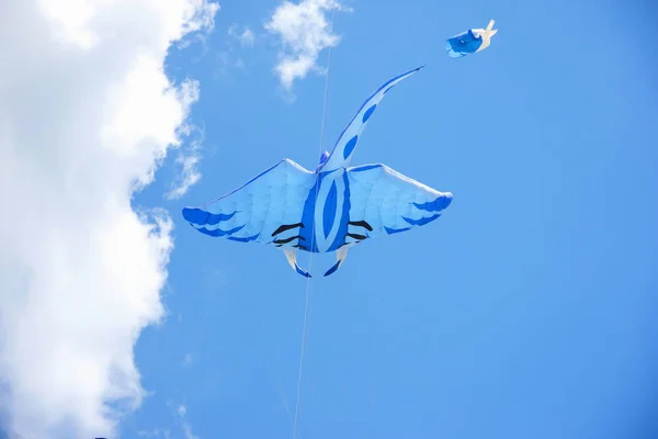 Bright kites floating in the blue sky, kite festival, air — Stock Photo, Image