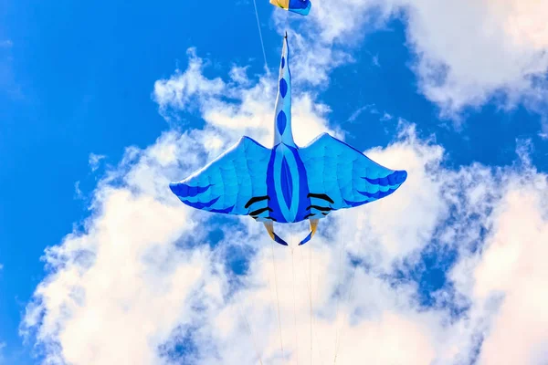 Pipas brilhantes flutuando no céu azul , — Fotografia de Stock