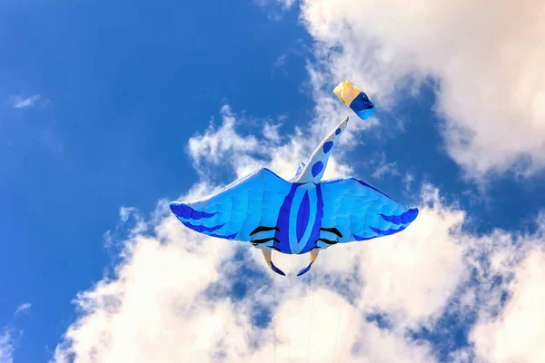 Bright kites floating in the blue sky, — Stock Photo, Image