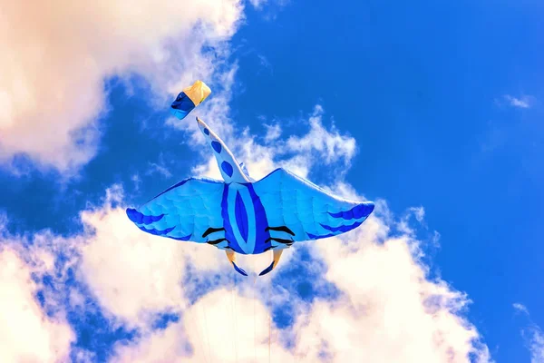 Helle Drachen schweben im blauen Himmel, — Stockfoto
