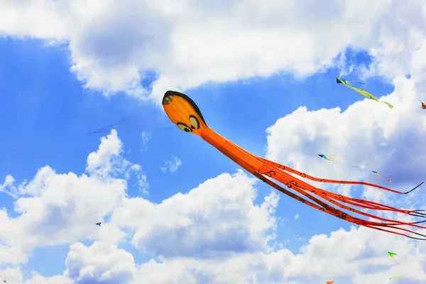 Renkli uçurtma güzel yaz d açık havada uçmak ücretsiz