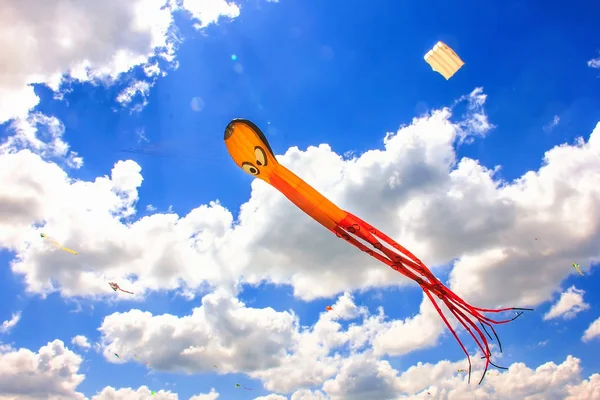 Renkli uçurtma açık gökyüzünde uçmak ücretsiz,