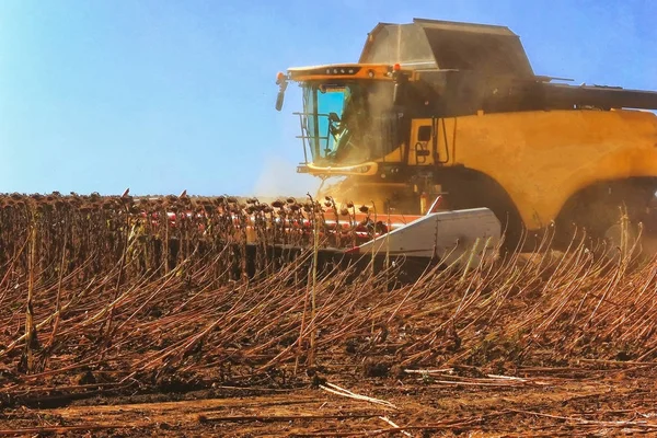 Combine harvester working in action on the field. Agriculture. C — Stock Photo, Image