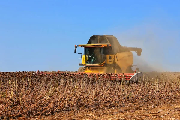 Combinar colheitadeira trabalhando em ação no campo. Agricultura. C — Fotografia de Stock