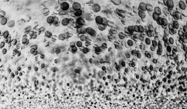 bakterilerin mikroskop arka plan altında