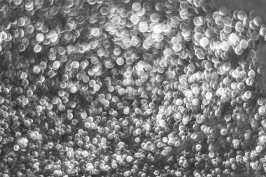 parıldıyor, payetler, parlak toz, bulanıklık, arka plan ve tasarım için parlak bulanık arka plan dokusu