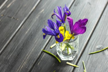 Çiğdemler, safran çok güzel bahar çiçekleri vardır. Bakım ve pl