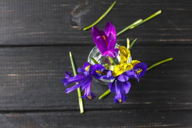 Çiğdemler, safran çok güzel bahar çiçekleri vardır. Bakım ve pl