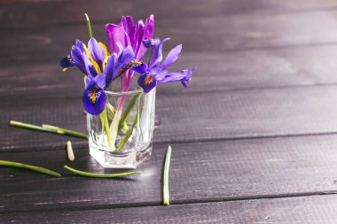 Çiğdemler, safran çok güzel bahar çiçekleri vardır. Bakım ve pl