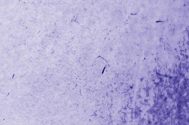 bakteri ve sopalarla altında mikroskop, mikroorganizmalar, chemis