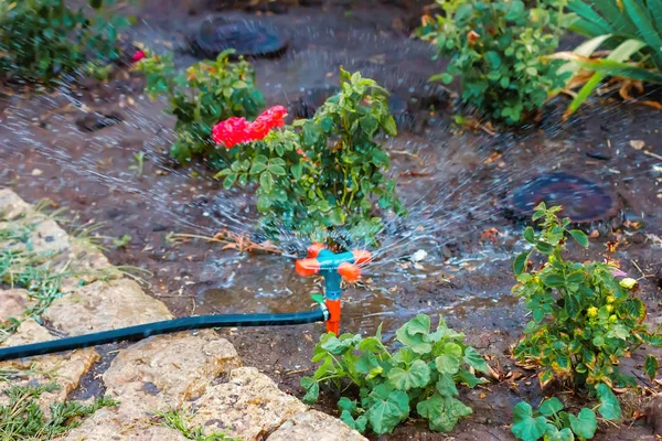 drip irrigation of the garden and vegetable garden,