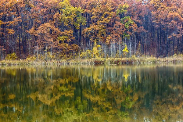 Herbstsee mit Bäumen mit goldenen Blättern im Herbst. Herbst-Beau — Stockfoto