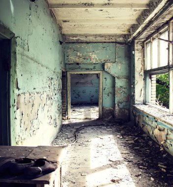 Güvercin park halindeki bir arabada oturuyor.  