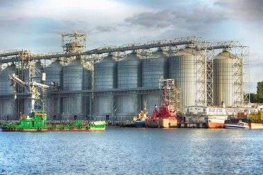 Tahıl depolama tesisleri. Tahıl depolamak ve kurutmak için tahıl bitkisi. Tahıl Terminali. Kurutma ve depolama için bitki - resim.