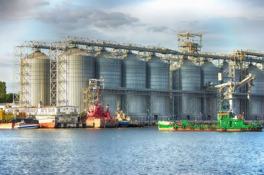 Tahıl depolama tesisleri. Tahıl depolamak ve kurutmak için tahıl bitkisi. Tahıl Terminali. Kurutma ve depolama için bitki - resim.