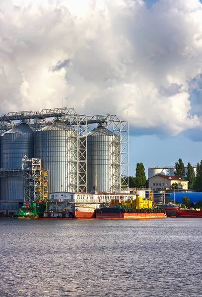 Terminal Portuaire Marine Marchande Complexes Pour Séchage Stockage Grain Cargo — Photo