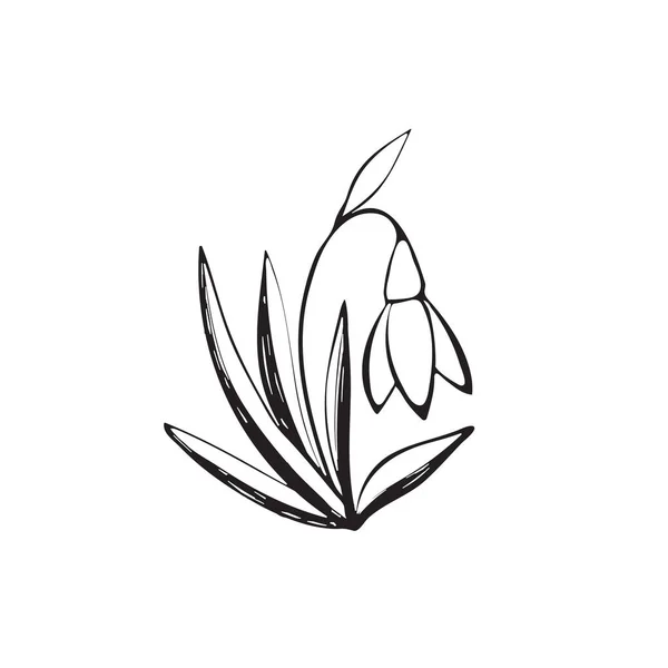 Snowdrop schets pictogram — Stockvector