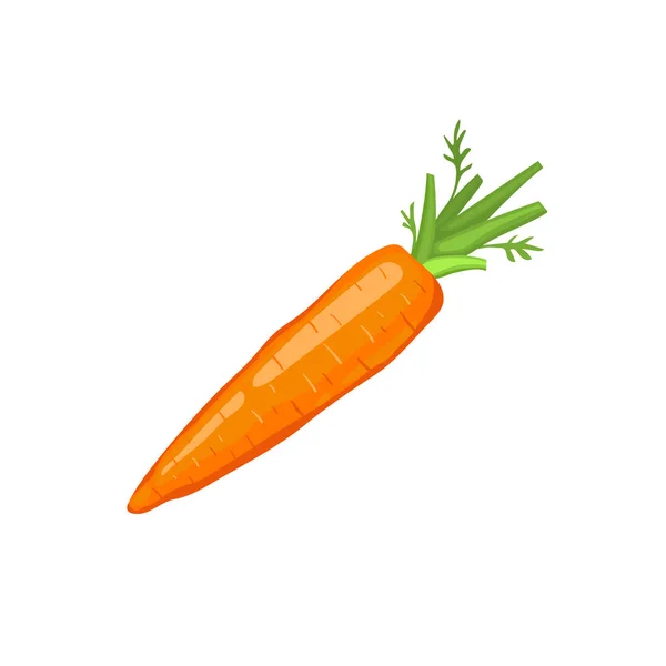 Ícone de cenoura isolado — Vetor de Stock