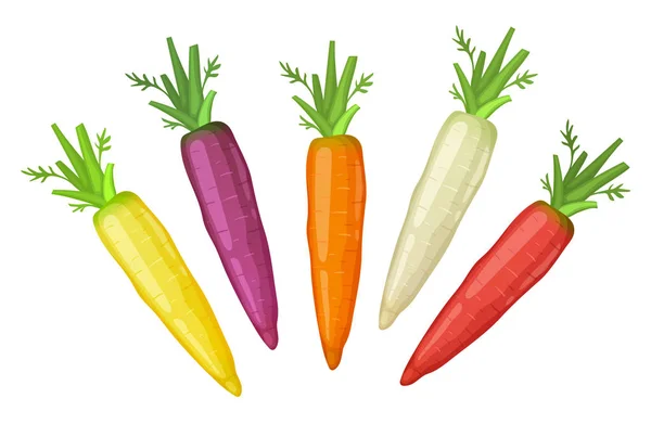 Icono de zanahoria aislado — Vector de stock
