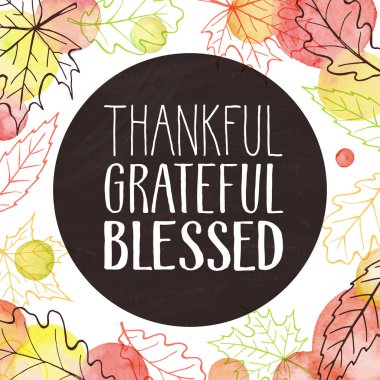 Şükran günün kutlu olsun poster