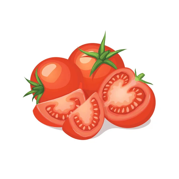 Composición de tomates maduros — Vector de stock