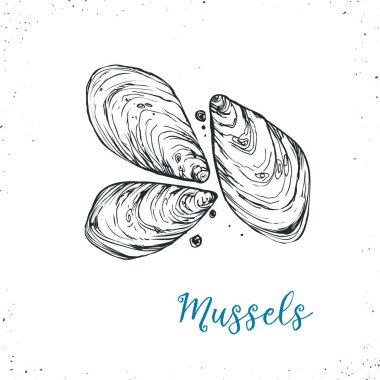 Deniz ürünleri vektör çizim