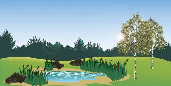 Yeşil doğa manzara