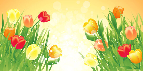 Spring illustration background