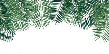 Yeşil palmiye resimleme arkaplan büyük afiş bırakır