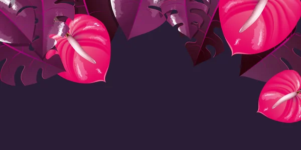 モンステラおいしい紫色の葉イラスト大きなバナー — ストック写真