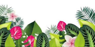 Tropik çiçekler ve yeşil yapraklar. Büyük afiş.