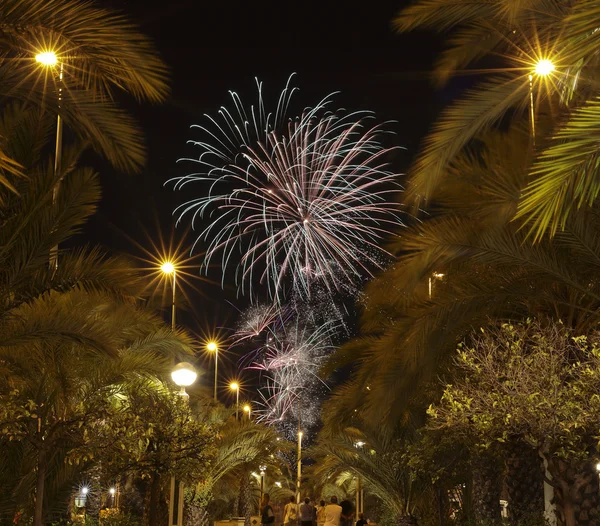 Fuochi d'artificio al Castello di Elche — Foto Stock