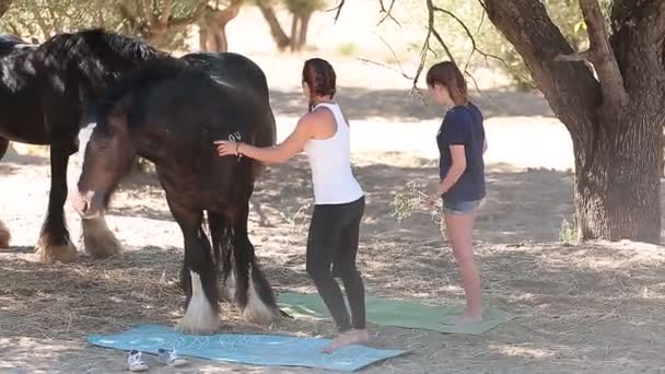 Två flickor försöker göra yoga omgiven av hästar — Stockvideo