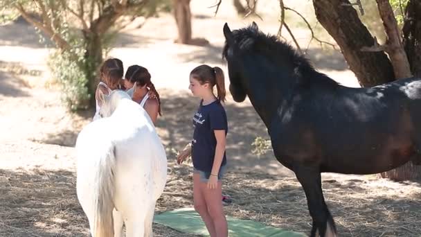 Cavalo, menina, fazenda, animal, criança, fazenda, natureza, verão, diversão, outono, bonito, outdoor, família, brincar, pouco, feliz, brincar, crianças, rural, pessoas, pasto, alimentação, fofa, campo, amor, animal de estimação, campo, amigosDuas meninas e uma menina cercada por cavalos — Vídeo de Stock